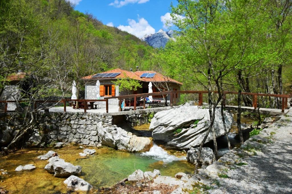 Apartmani Goga Seline Buitenkant foto